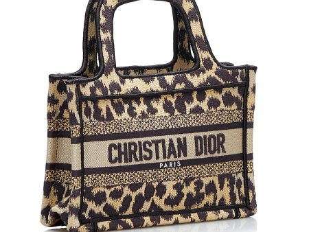 Dior Mizza Mini Book Tote (E7m3w3) For Discount